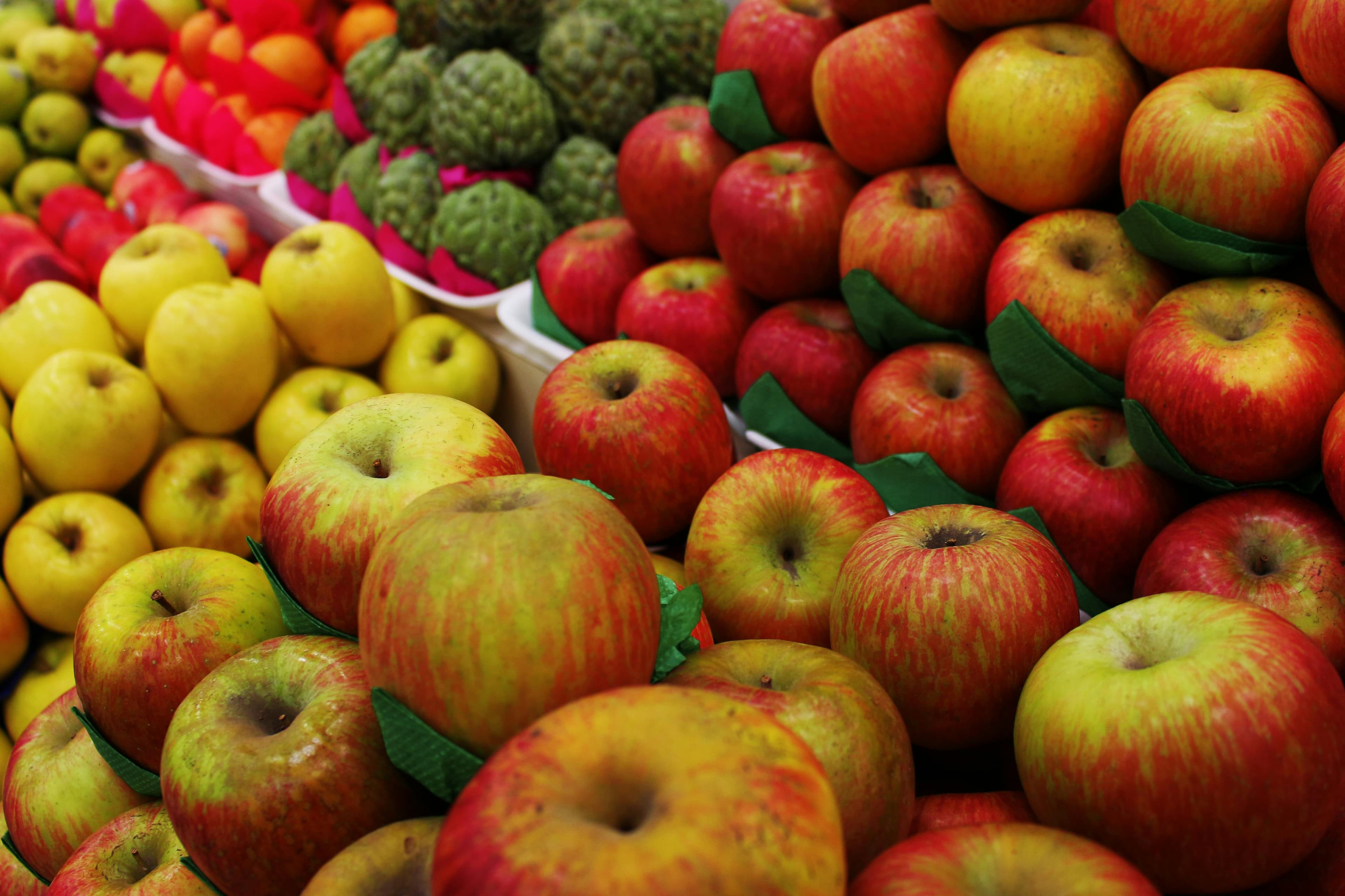 Épiceries Métro et Maxi à La Malbaie (12 min)