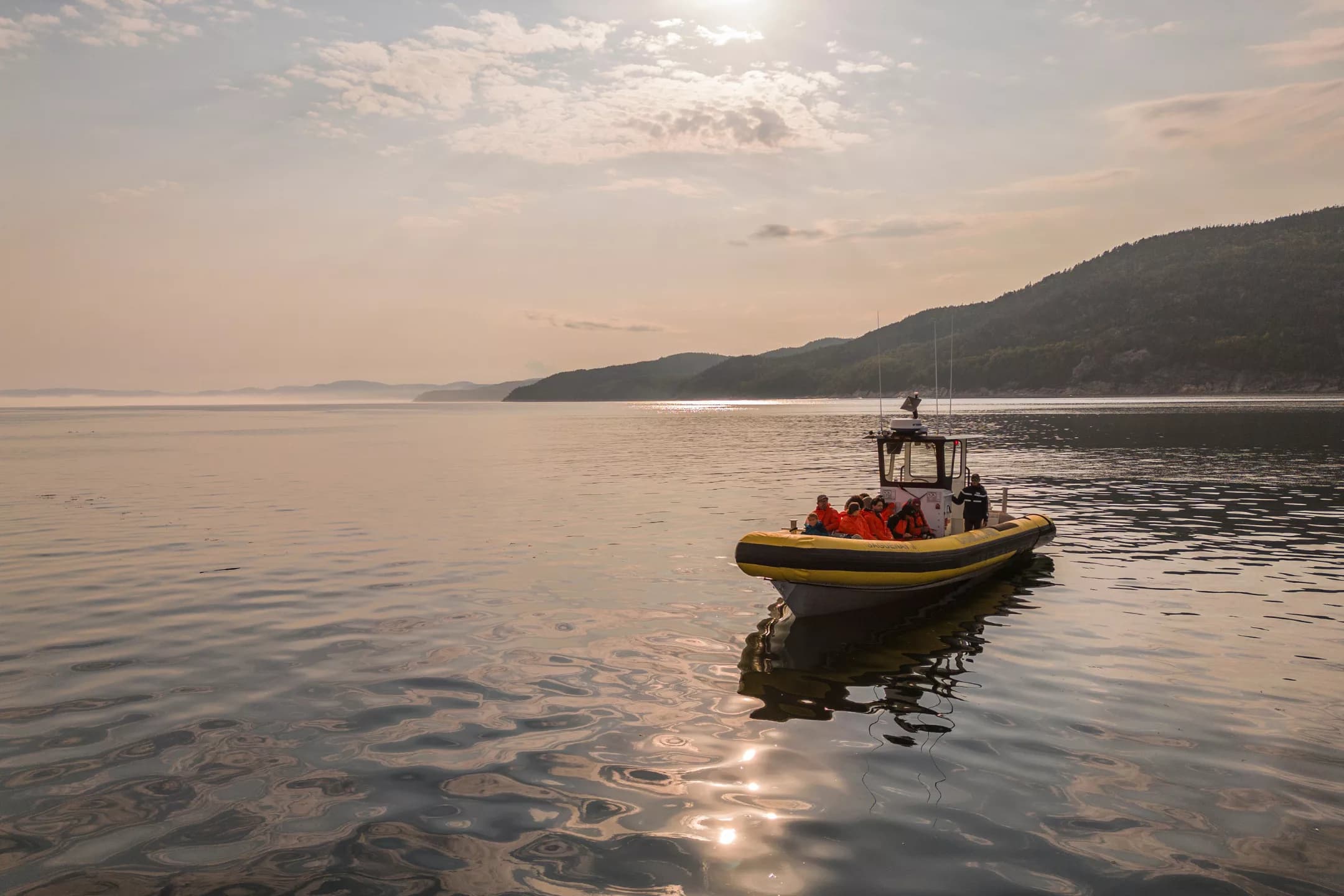 Recommandations et conciergerie