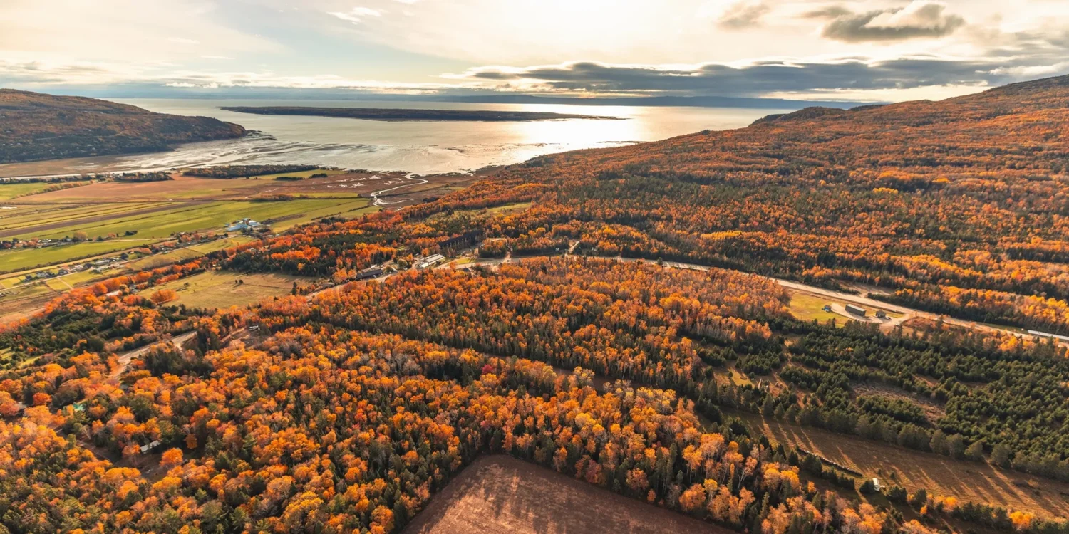 Autumn-coloured forests and the Saint Lawrence seen from the air in Charlevoix