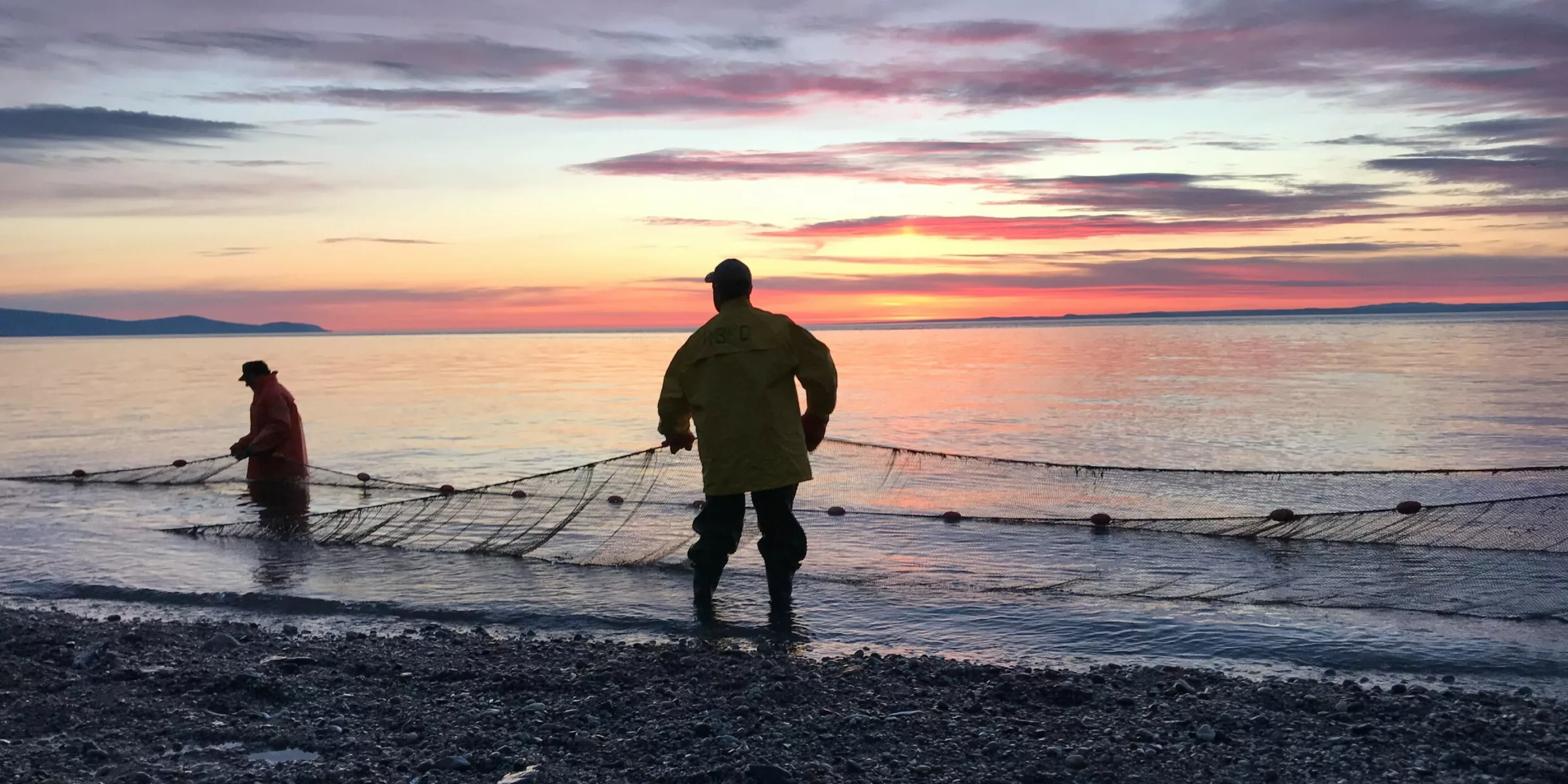 Hauling the fascine weir nets at sunset in Saint-Irénée