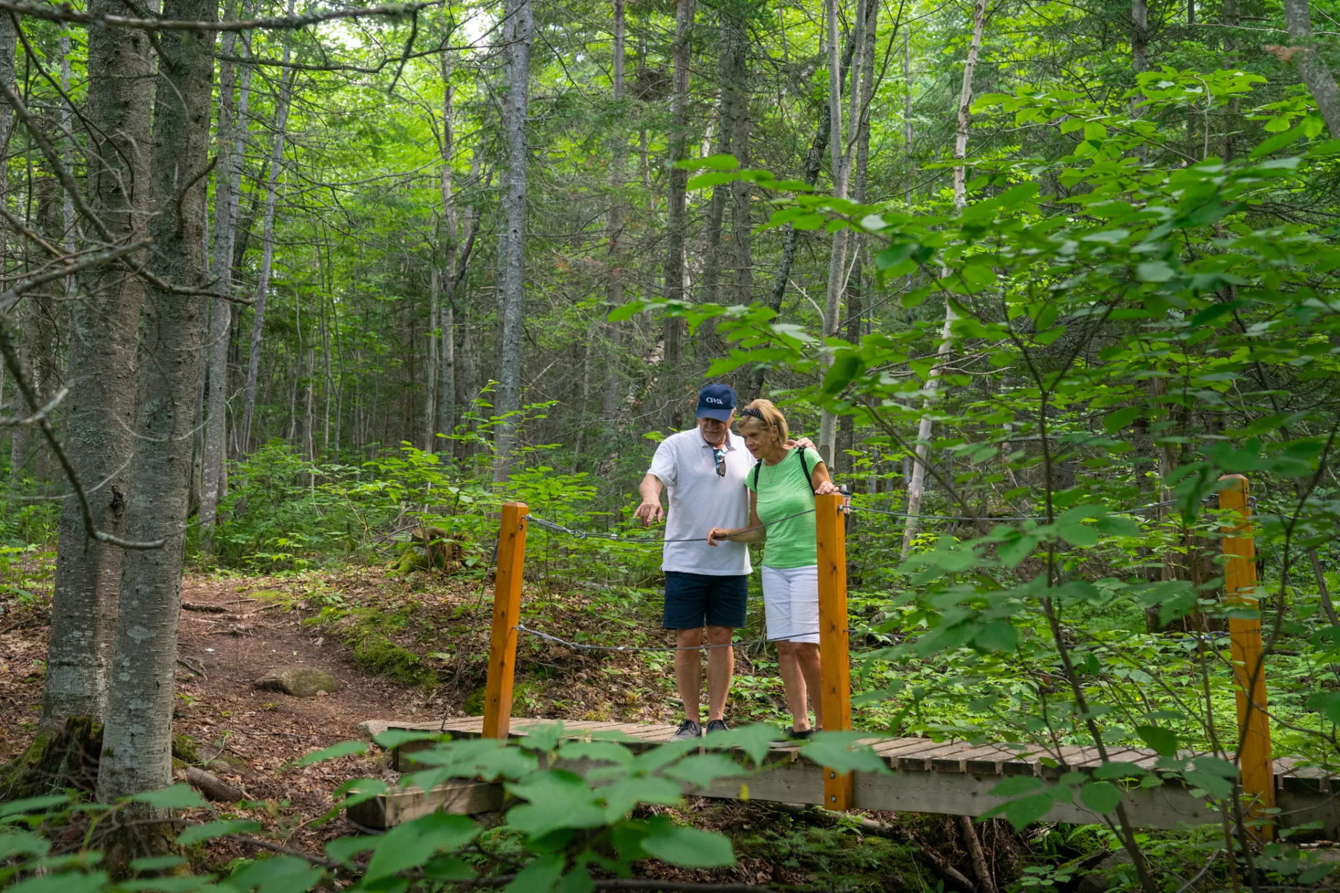 Panoramic view from the Gabrielle-Roy trail