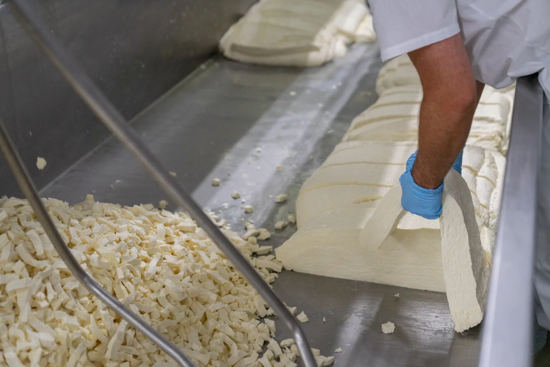 Cheese maker working the curd at Fromagerie St-Fidèle, La Malbaie