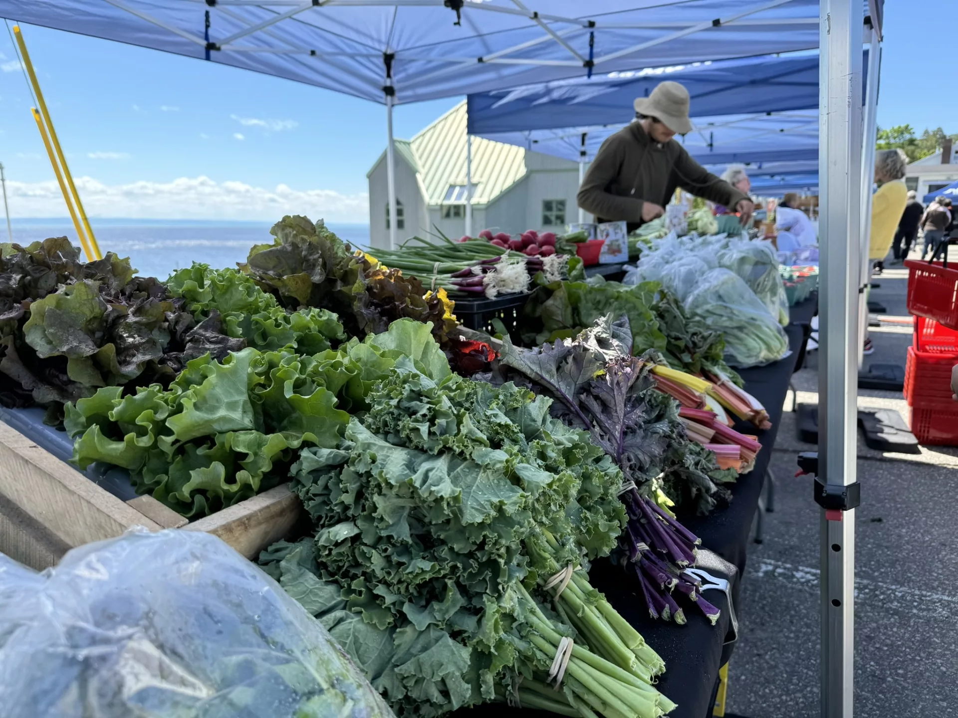 Producer at the La Malbaie public market with the St. Lawrence in the background